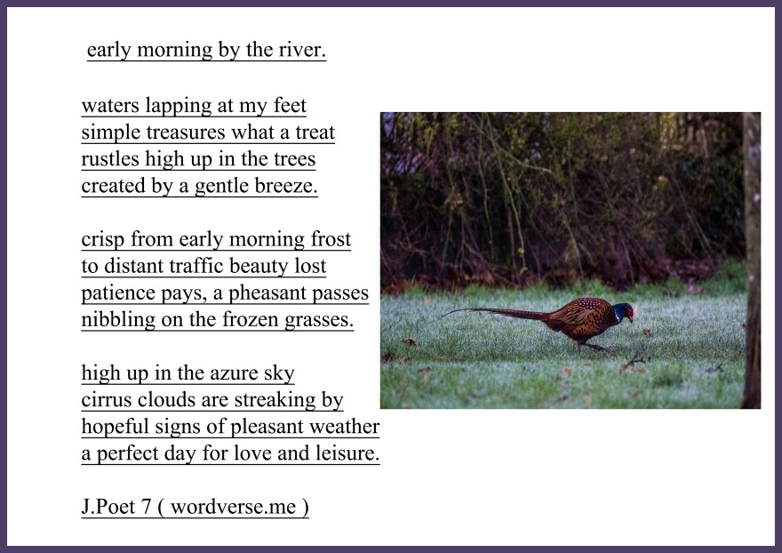 C53C5622-8A15-4C2E-BAAD-1954F7F5935F